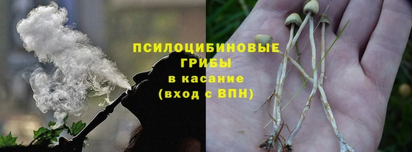 мяу мяу мука Белокуриха