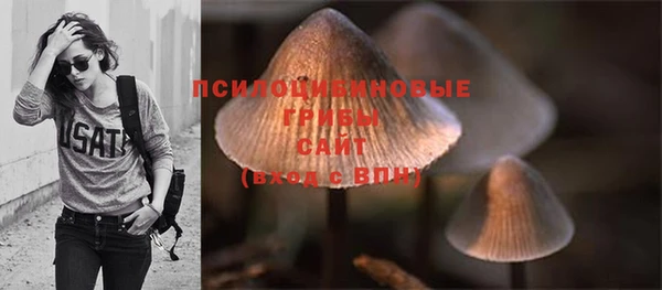 MDMA Premium VHQ Беломорск
