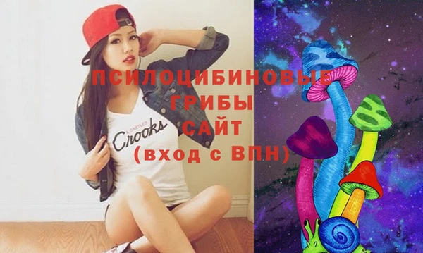 дурь Белоозёрский