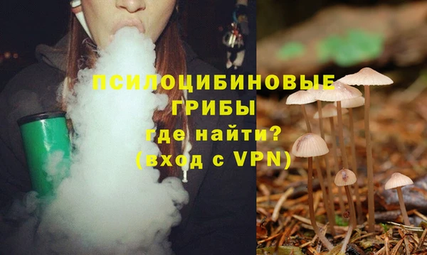 MDMA Premium VHQ Беломорск