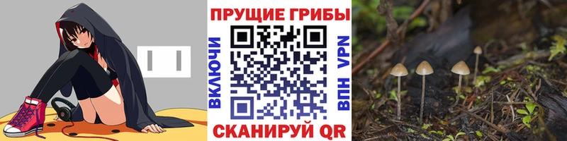 Галлюциногенные грибы Cubensis  как найти закладки  hydra ССЫЛКА  Туймазы 